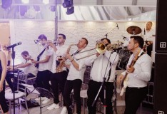 Elvi's Band
