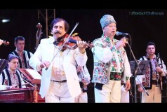 Николай Глиб