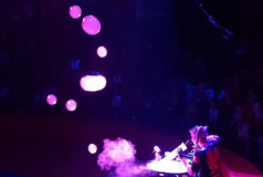 Bubble Up Show