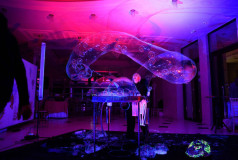 Bubble Up Show