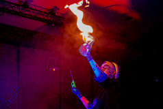 Bubble Up Show
