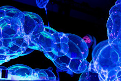 Bubble Up Show