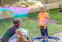 Bubble Up Show
