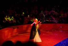 Bubble Up Show