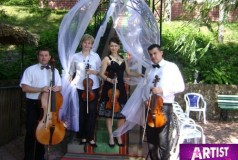 "VIVO"- QUARTET