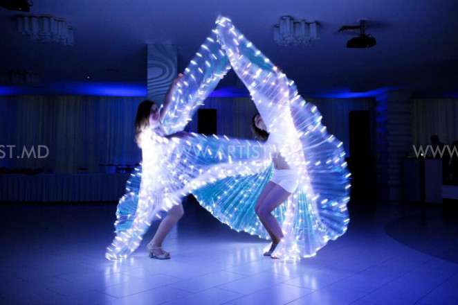 Led Show