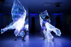 Led Show