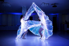 Led Show