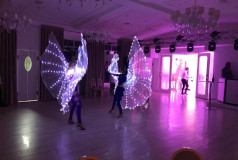 Led Show