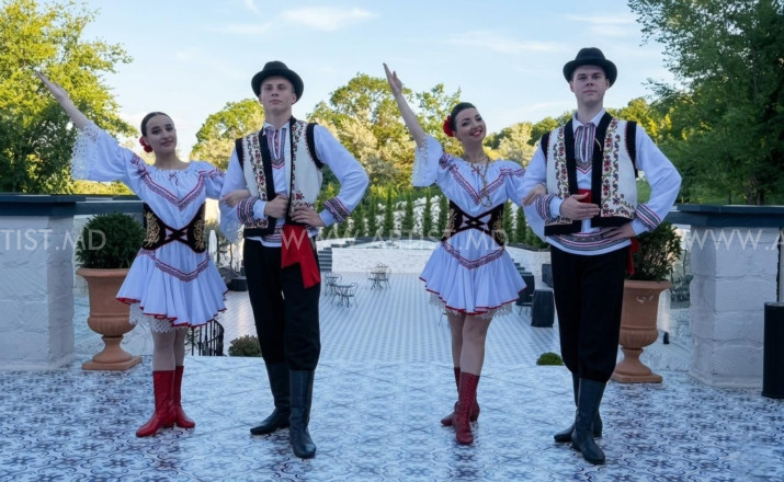 Шоу Балет Фламинго