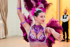 Шоу Балет Фламинго