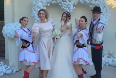 Шоу Балет Фламинго