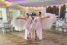 Шоу Балет Фламинго