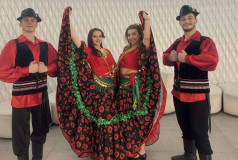 Шоу Балет Фламинго