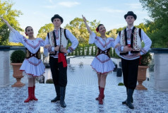 Шоу Балет Фламинго