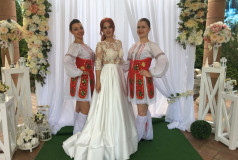 Студия Фламинго