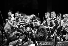 Orchestra Lăutarii