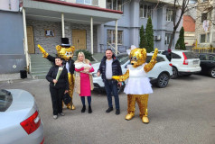 Золотые мишки/зайчики
