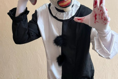 Необыкновенные Аниматоры