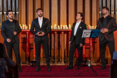 Раду Киокиу