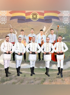 Вокально-инструментальный ансамбль народных песен