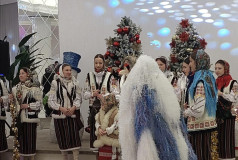 Колядная Звезда