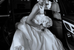 Александр Нестеров