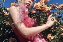 Александр Нестеров