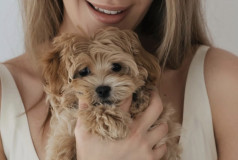 Юлия Лавренко