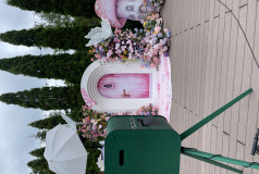 Goselfie